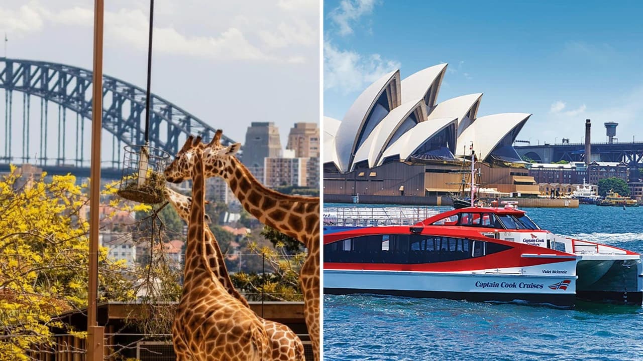 Taronga Zoo Ticket with Optional Round Trip Ferry