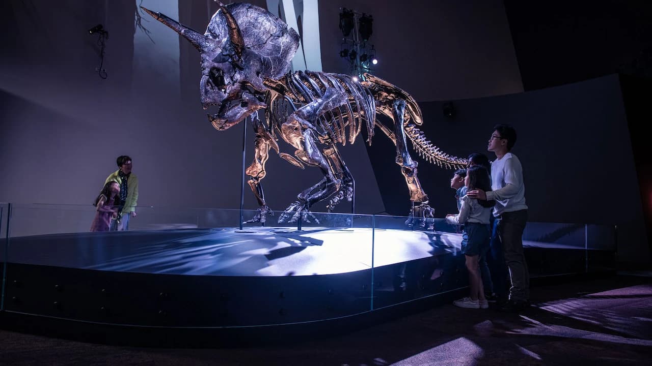 Melbourne Museum - image 7