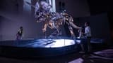 Melbourne Museum - image 6