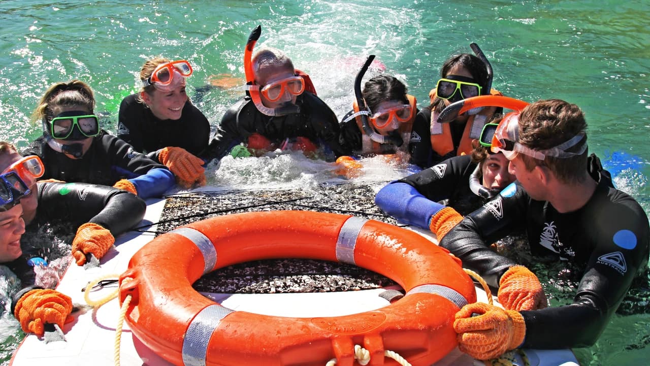 Moreton Island 1-Day Adventure Tour with Kayaking and Sandboarding - image 8