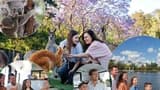 Lone Pine Koala Sanctuary Entry Ticket with Cruise from Brisbane City - image 8