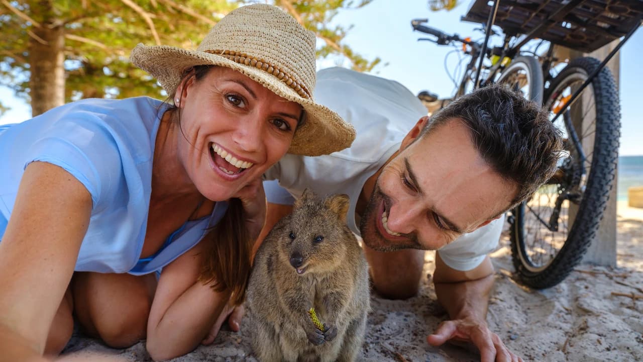 Round Trip SeaLink Ferry Transfer to Rottnest Island with Bike Hire