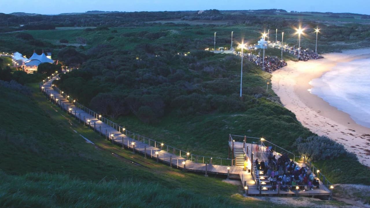 Phillip Island with Penguin Parade Eco Tour - image 7