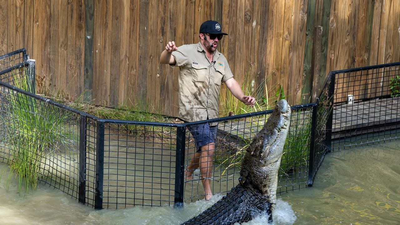 Hartley's Crocodile Adventures