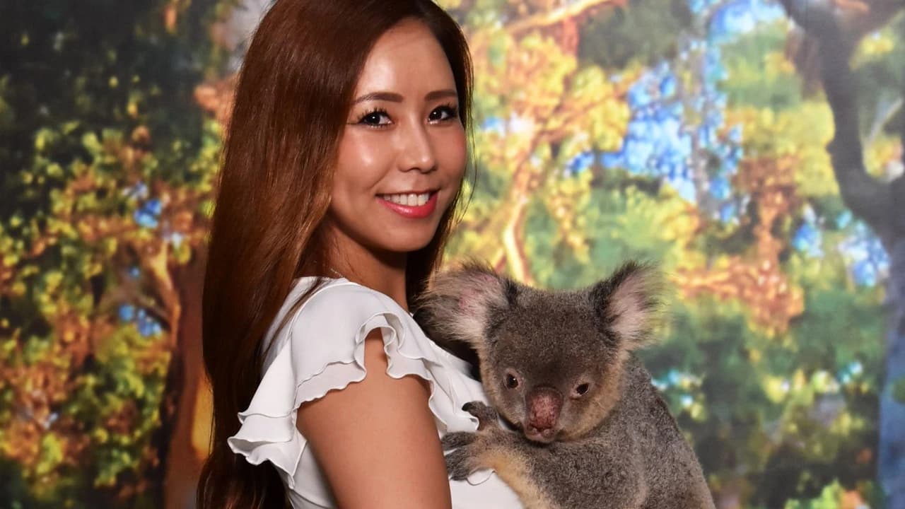 Cairns Koalas and Creatures at the Pier Admission Ticket with 1 Koala Photo - Photo 2