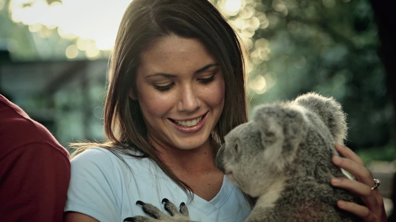 Currumbin Wildlife Sanctuary Gold Coast Ticket - Photo 3
