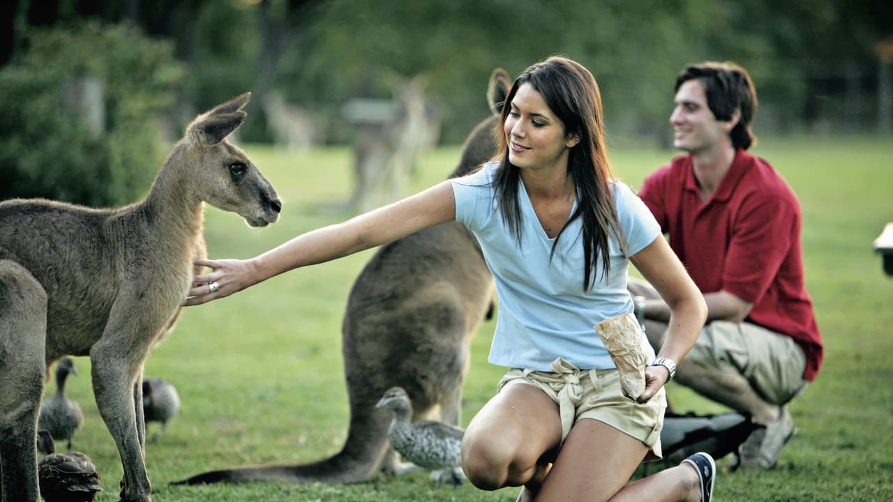 Currumbin Wildlife Sanctuary Gold Coast Ticket - Photo 5