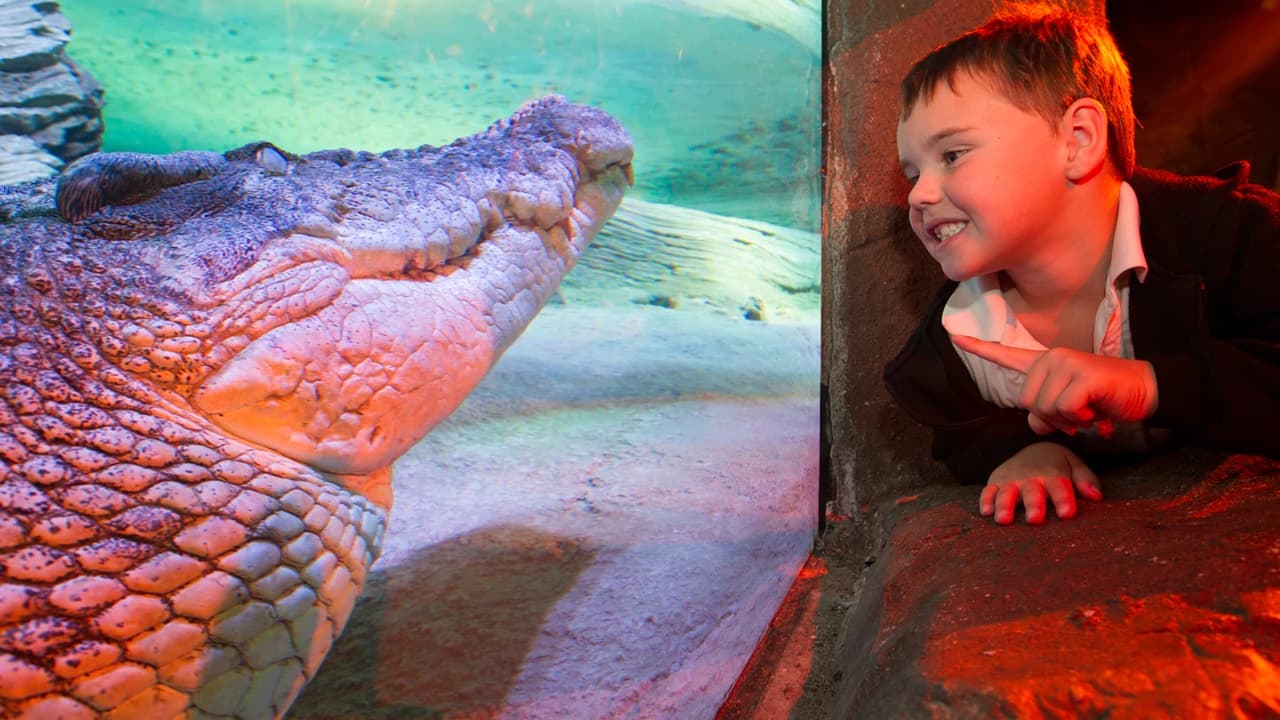 SEA LIFE Melbourne Aquarium Direct Entry Ticket - Photo 3