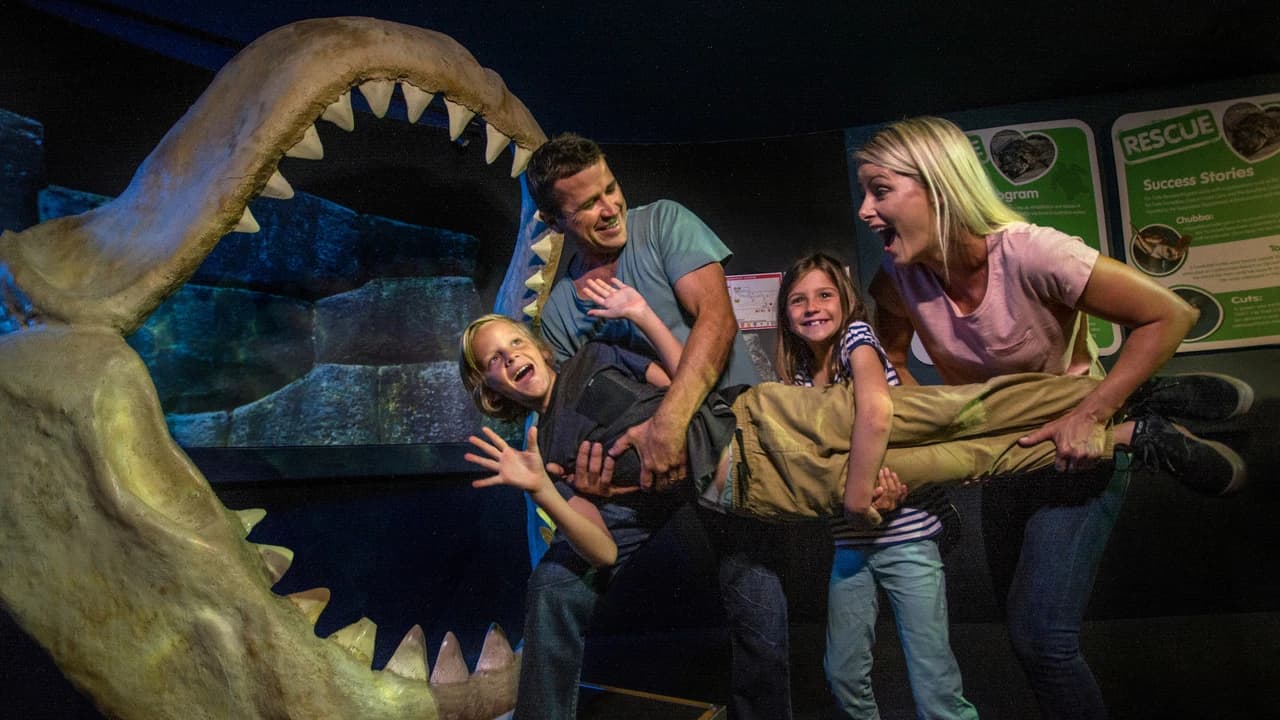 SEA LIFE Sunshine Coast Aquarium Direct Entry Ticket - image 6