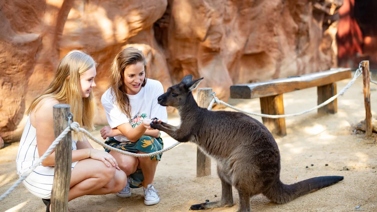 WILD LIFE Sydney Zoo Direct Entry Ticket