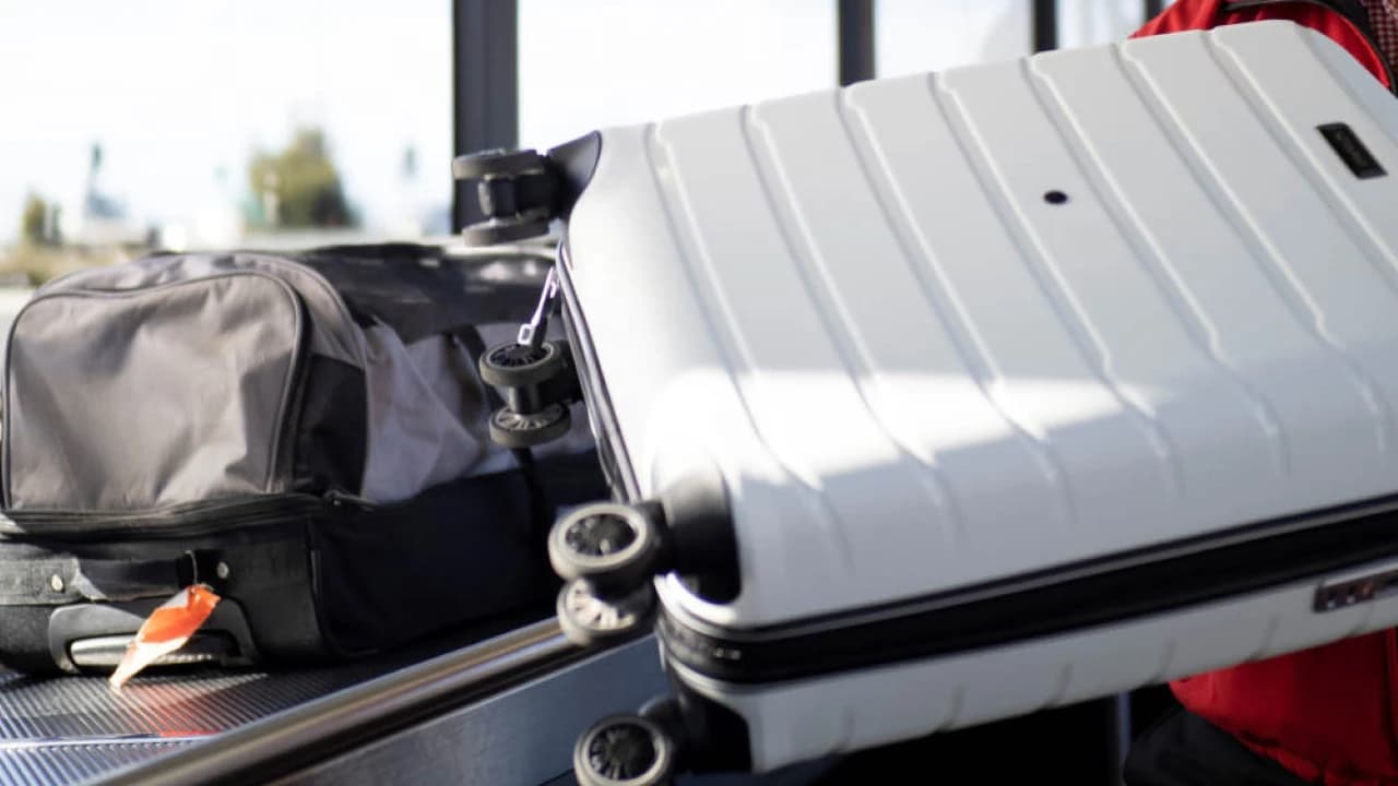 SkyBus Hobart City Express Airport Transfer - Photo 2