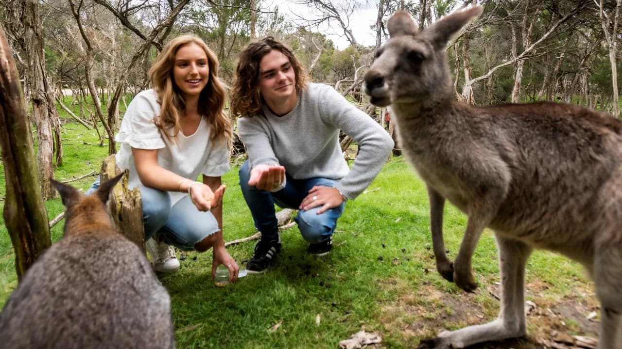 Moonlit Sanctuary Wildlife Conservation Park Ticket