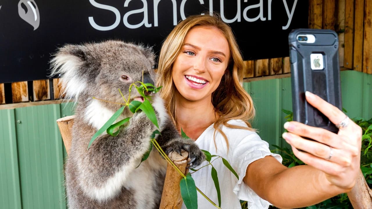 Moonlit Sanctuary Wildlife Conservation Park Ticket - Photo 2