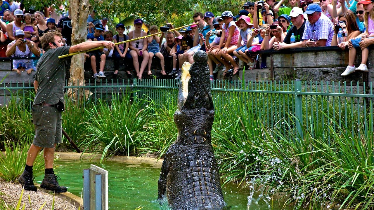 Australian Reptile Park - Photo 3