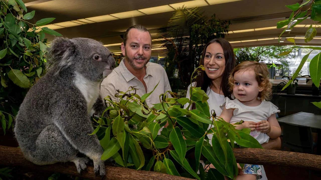 Wildlife Habitat Port Douglas Ticket