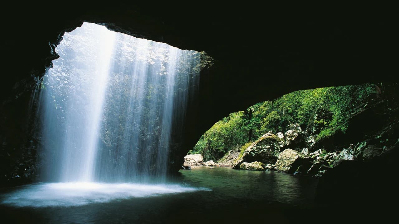 Springbrook National Park Tour: Natural Bridge and Waterfalls