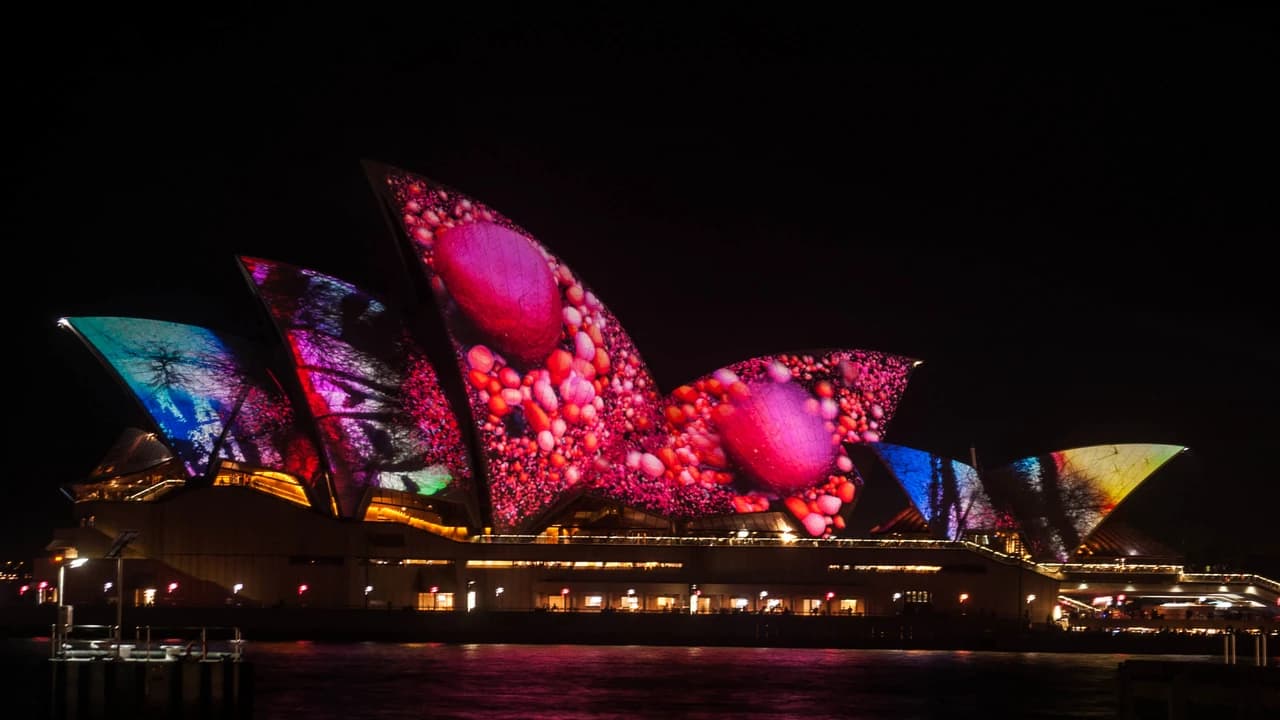 Vivid Festival of Light and Sound Cruise with Buffet Dinner aboard Sydney Princess Cruises - image 6