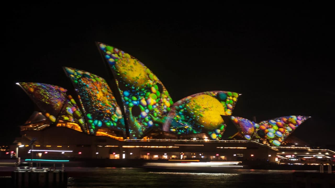 Vivid Festival of Light and Sound Cruise with Buffet Dinner aboard Sydney Princess Cruises - image 8