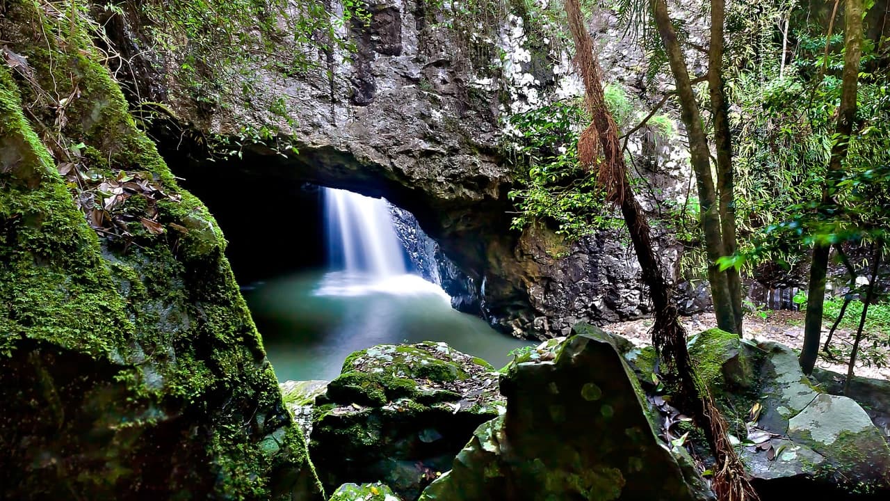Springbrook National Park Tour: Natural Bridge and Waterfalls - image 6