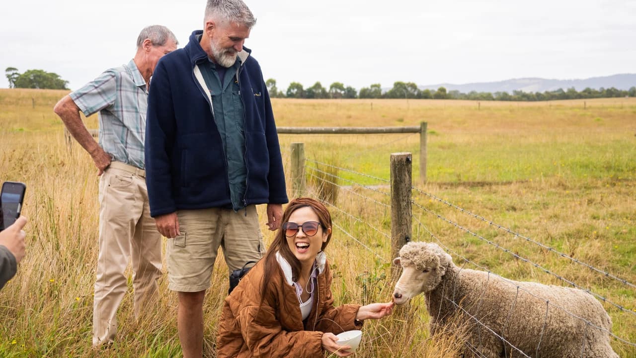 Yarra Valley Full-Day Grazing Tour from Melbourne - image 6