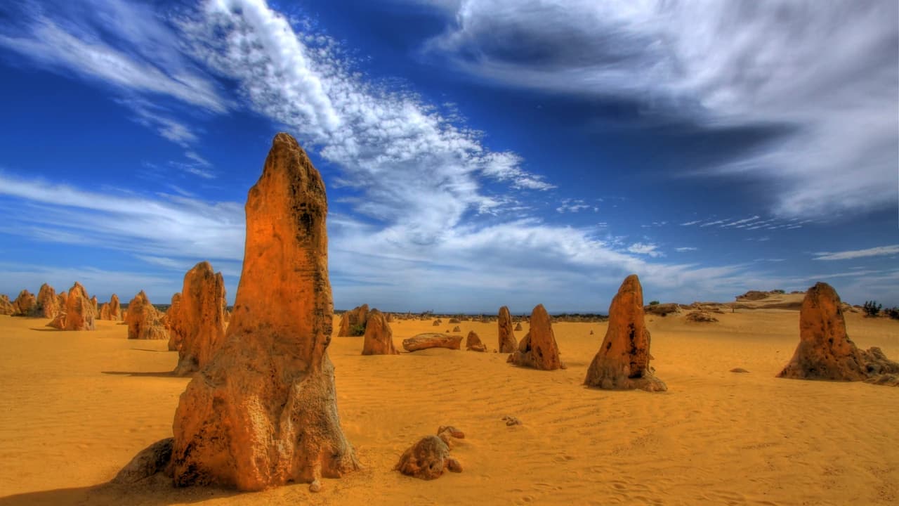 Pinnacles Desert Tour with 4WD Adventure from Perth