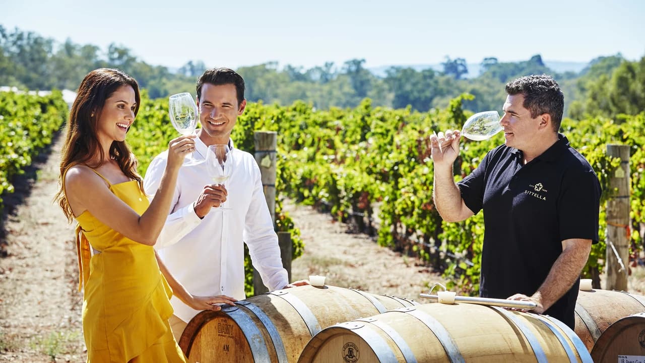 Swan Valley Half-Day Coach Tour with Wine and Chocolate Tasting