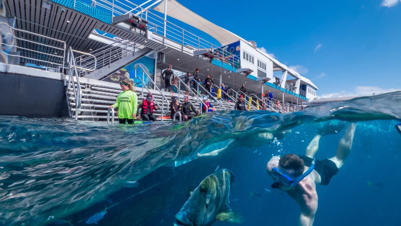 Great Barrier Reef Full-Day Pontoon Tour with Reef Magic from Cairns