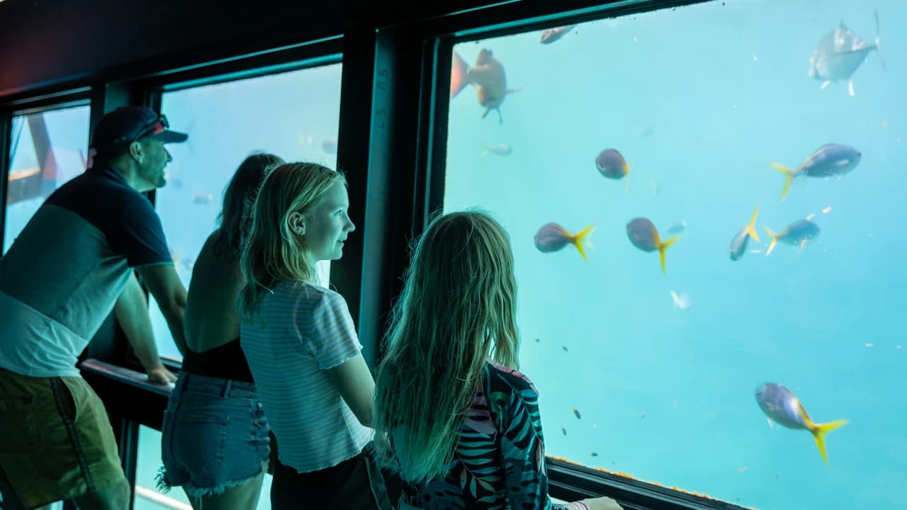 Great Barrier Reef Full-Day Pontoon Tour with Reef Magic from Cairns - Photo 3