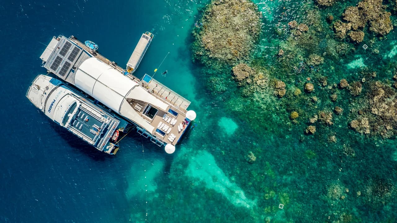 Great Barrier Reef Full-Day Pontoon Tour with Reef Magic from Cairns - image 7
