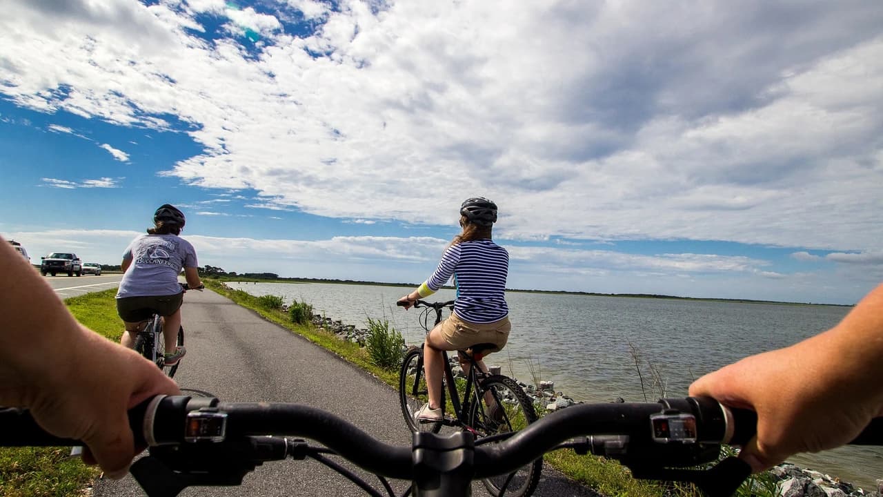 Manly Beach Cycling Tour with Sunset Cruise