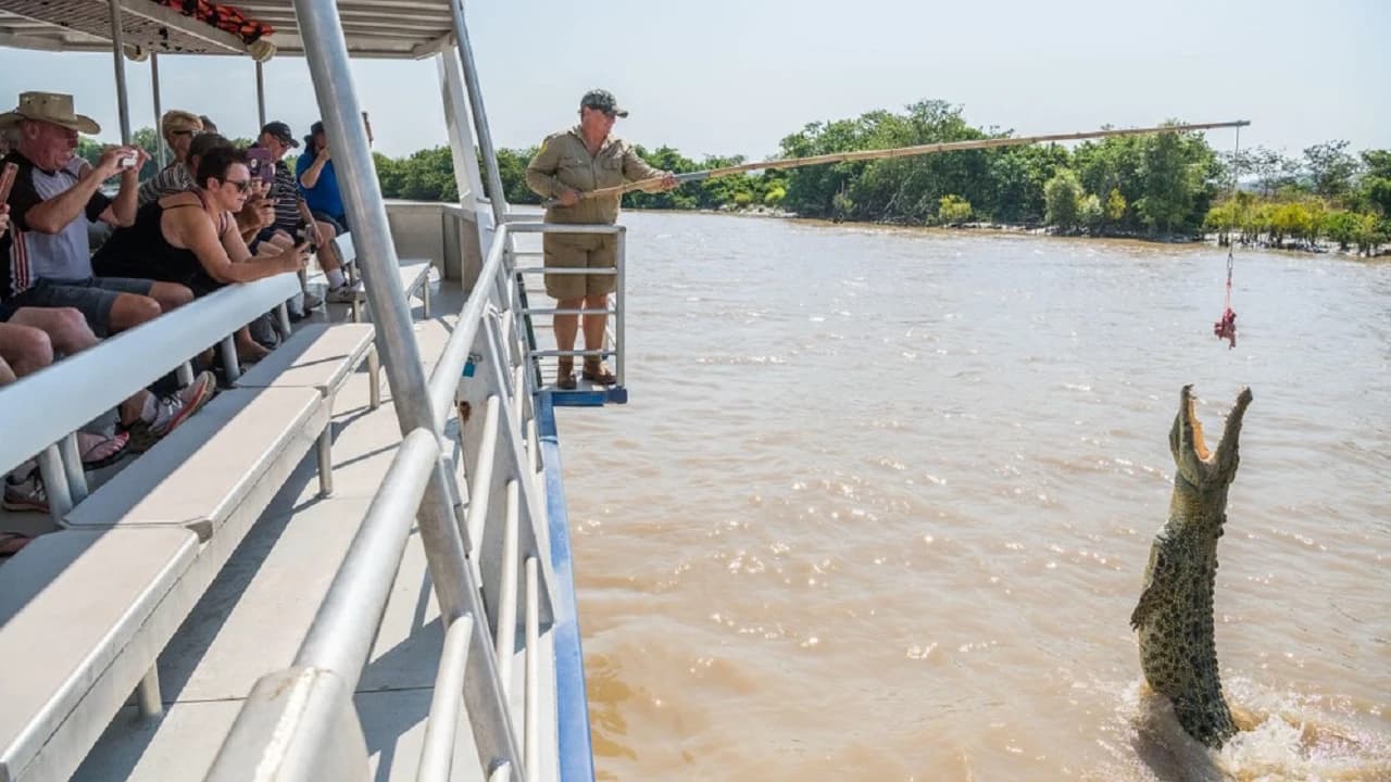Spectacular Jumping Crocodile Cruise