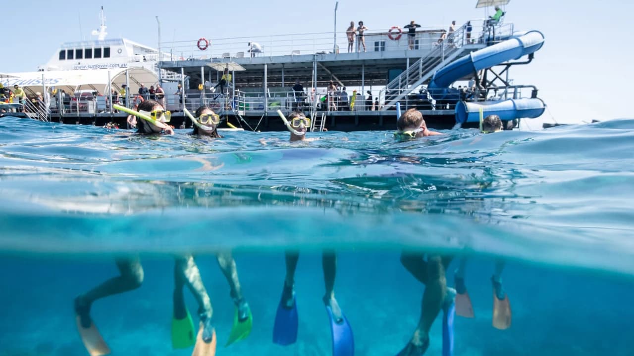 Great Barrier Reef Pontoon Full-Day Tour at Moore Reef - Photo 3