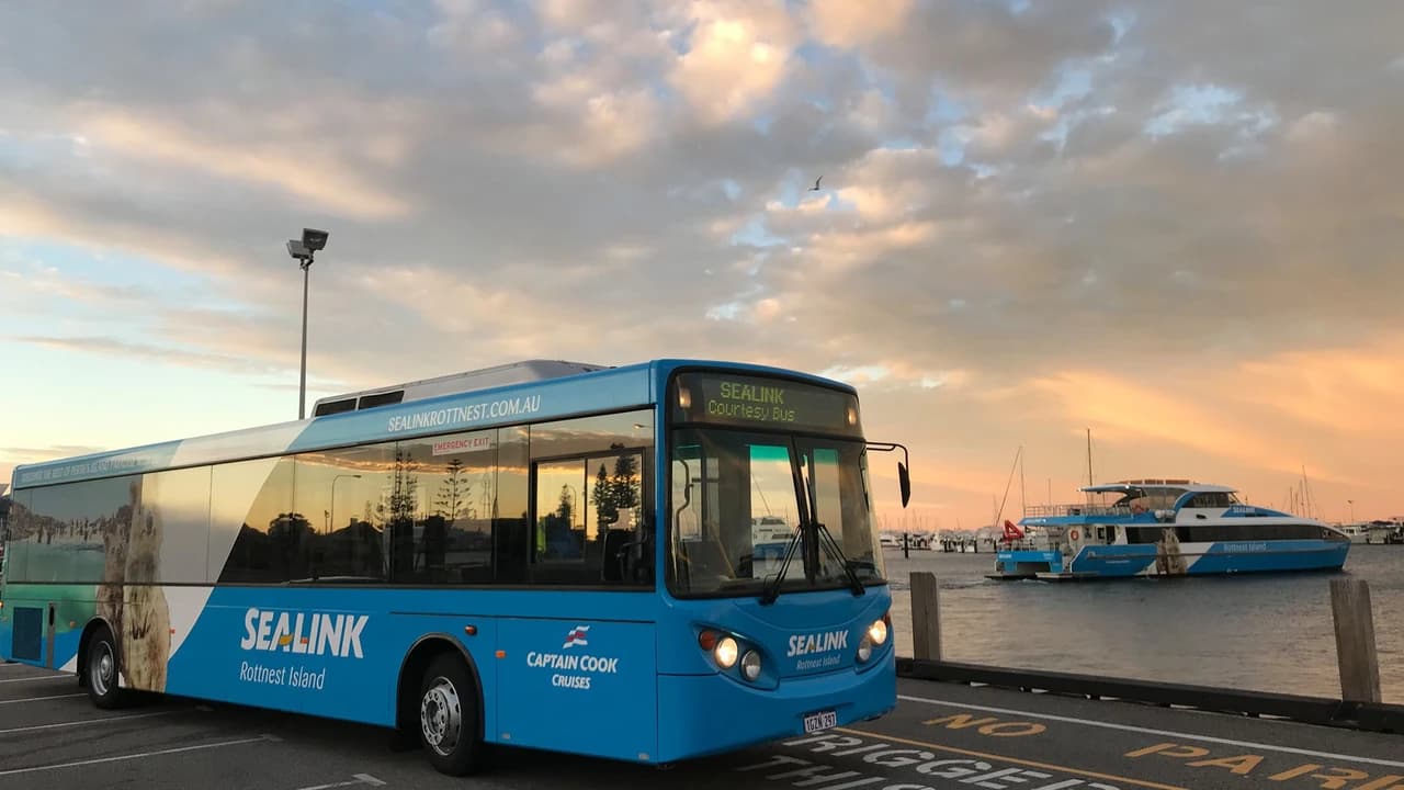 Rottnest Island Bayseeker Bus Tour with Round Trip SeaLink Ferry Transfer - Photo 2