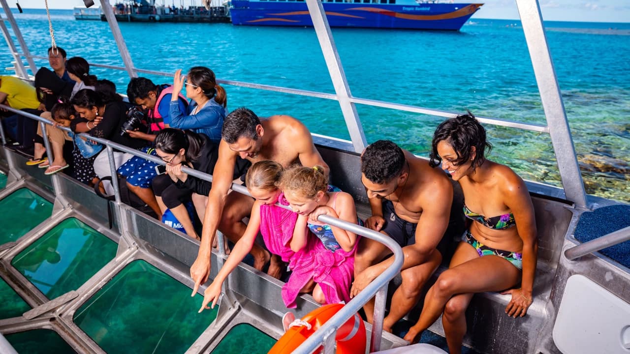 Great Barrier Reef Pontoon Full-Day Tour at Moore Reef - Photo 5