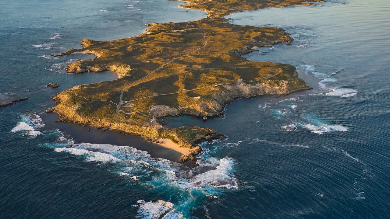 Rottnest Island Bayseeker Bus Tour with Round Trip SeaLink Ferry Transfer - Photo 5