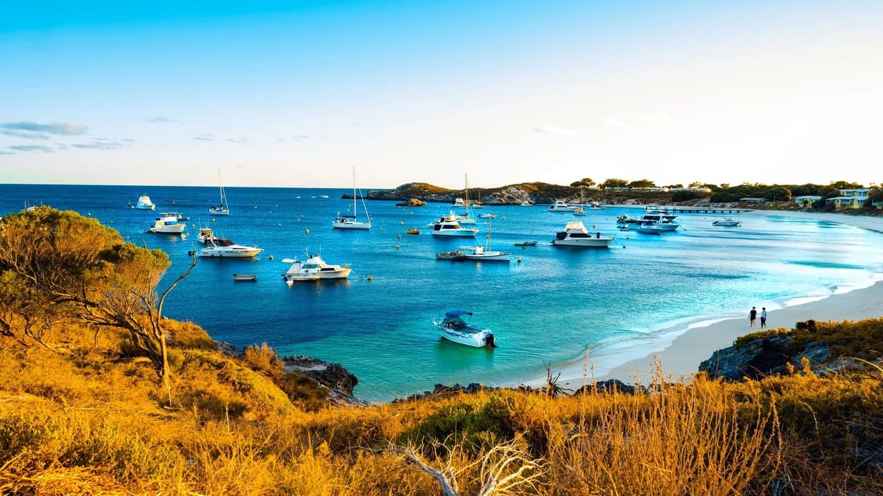 Rottnest Island Bayseeker Bus Tour with Round Trip SeaLink Ferry Transfer - image 6