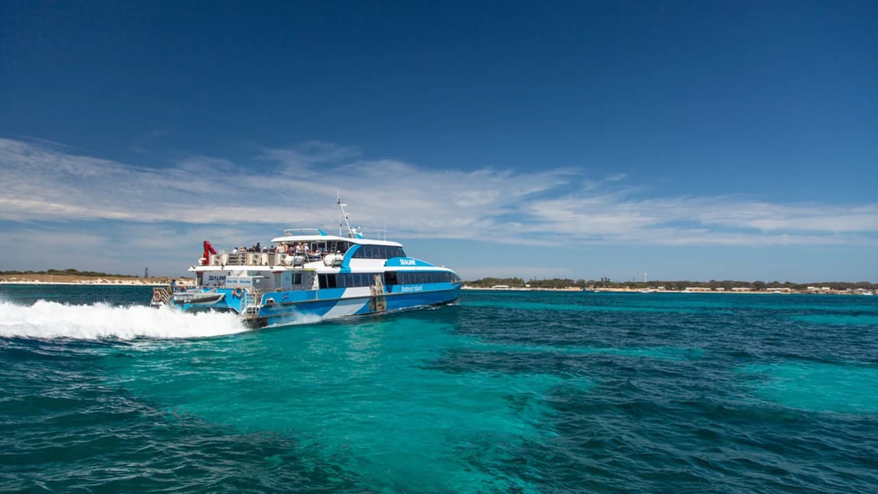 Round Trip SeaLink Ferry to Rottnest Island - image 7