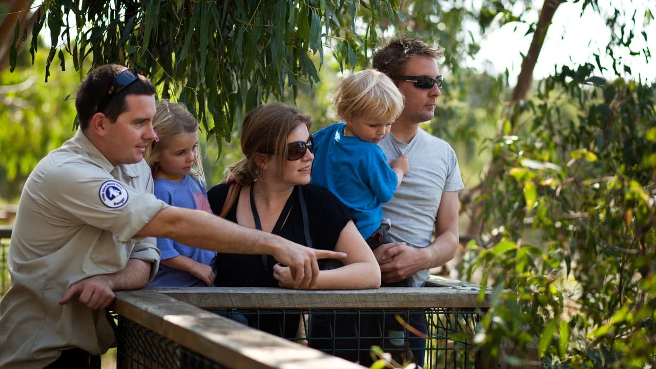 Phillip Island Nature Parks - Koala Conservation Reserve Ticket - Photo 4