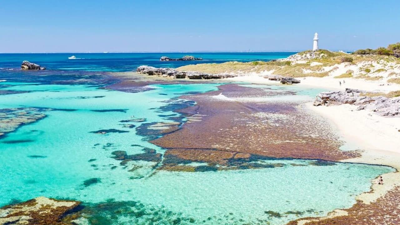 Rottnest Island Fortress Adventure Segway Tour with Round Trip SeaLink Ferry Transfer - Photo 3