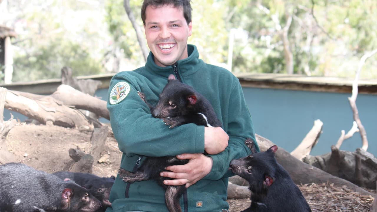 Bonorong Wildlife Sanctuary and Hobart City Tour