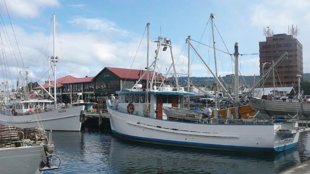 Bonorong Wildlife Sanctuary and Hobart City Tour - image 8