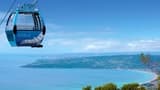 Arthur’s Seat Eagle Cable Car Ride Over the Mornington Peninsula - image 8
