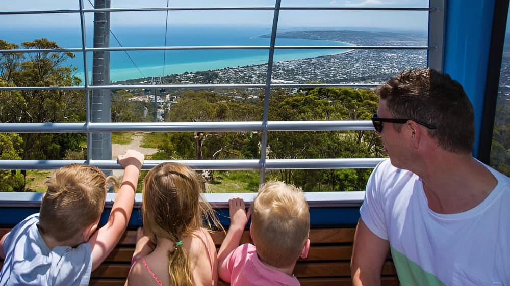 Arthur’s Seat Eagle Cable Car Ride Over the Mornington Peninsula - Photo 2