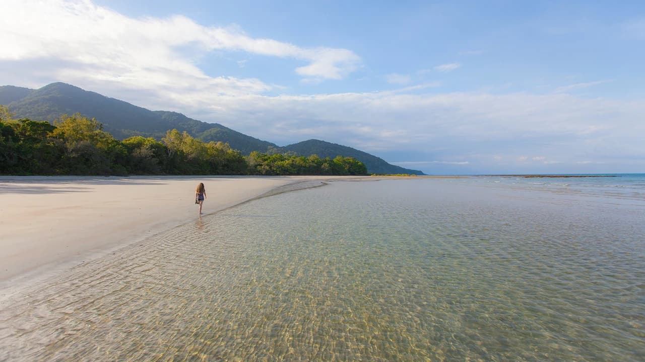 Cape Tribulation and Daintree Wilderness Full-Day Tour - Photo 2
