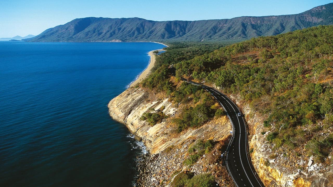 Cape Tribulation and Daintree Wilderness Full-Day Tour - Photo 3