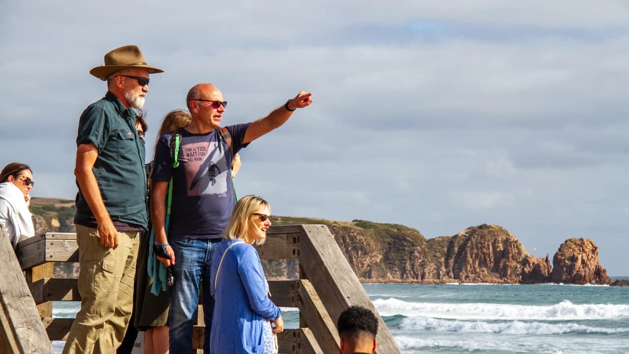 Penguins Express Tour from Melbourne - image 6