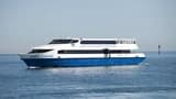 Captain Cook Cruises - Between Perth and Fremantle Scenic Cruise - image 6