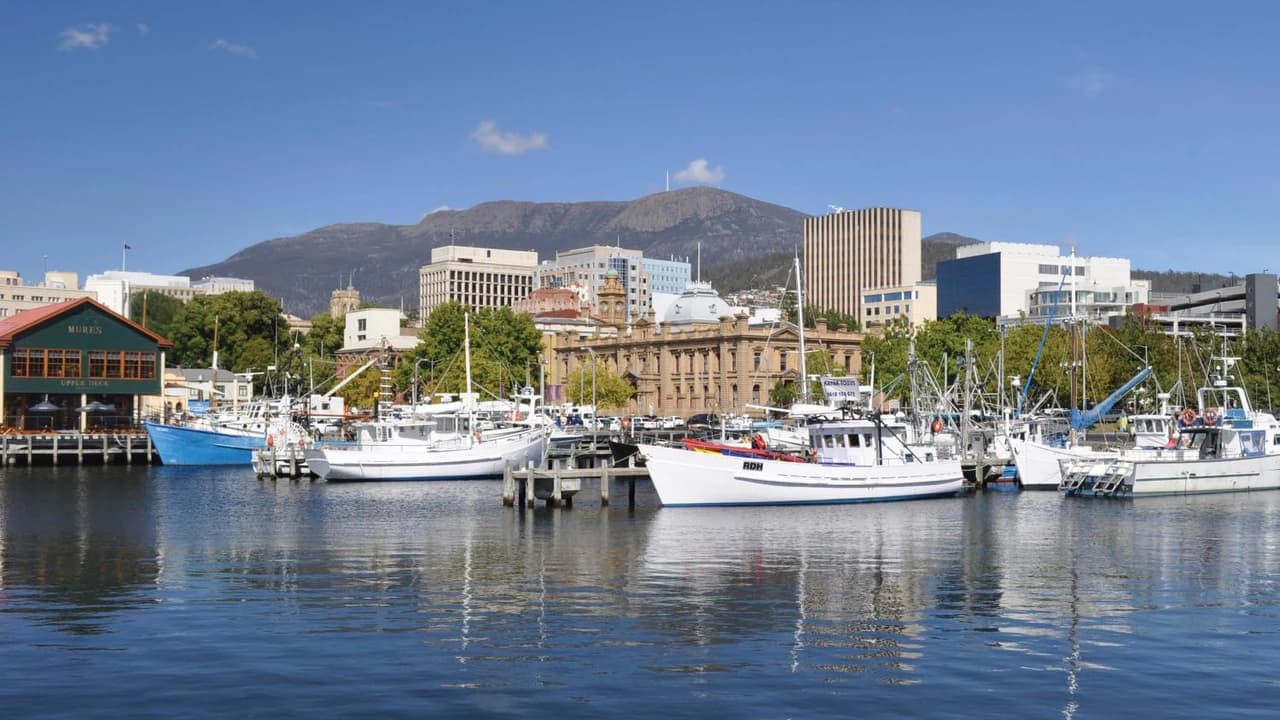 Mount Wellington and Hobart City Tour - image 6