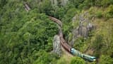 Full-Day Kuranda Tour with Skyrail Rainforest Cableway and Kuranda Scenic Railway - image 7