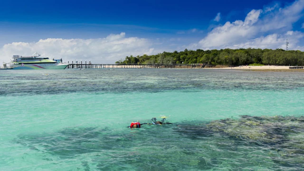 Green Island Great Barrier Reef Half Day Tour from Cairns